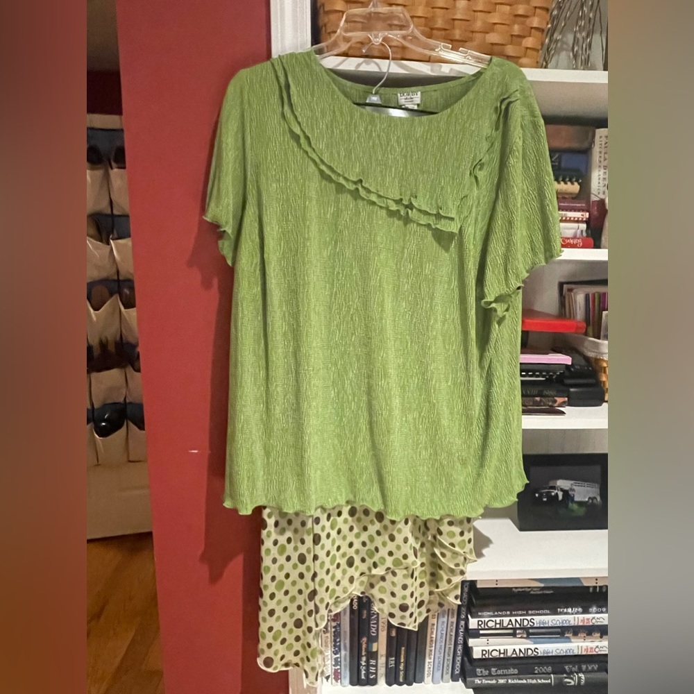 Dorby brand skirt and blouse set from Belk.